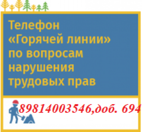 Phone_TrudovyeNarushenia.png