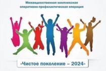 чистое поколение