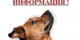 ВНИМАНИЕ ОТЛОВ.jpg