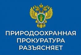 природоохранная прокуратура.jpg