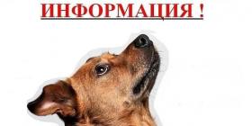 999 ОТЛОВ.jpg