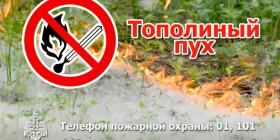 914e80ef00a526561d3fb42e25229fbf__2000x2000.jpg